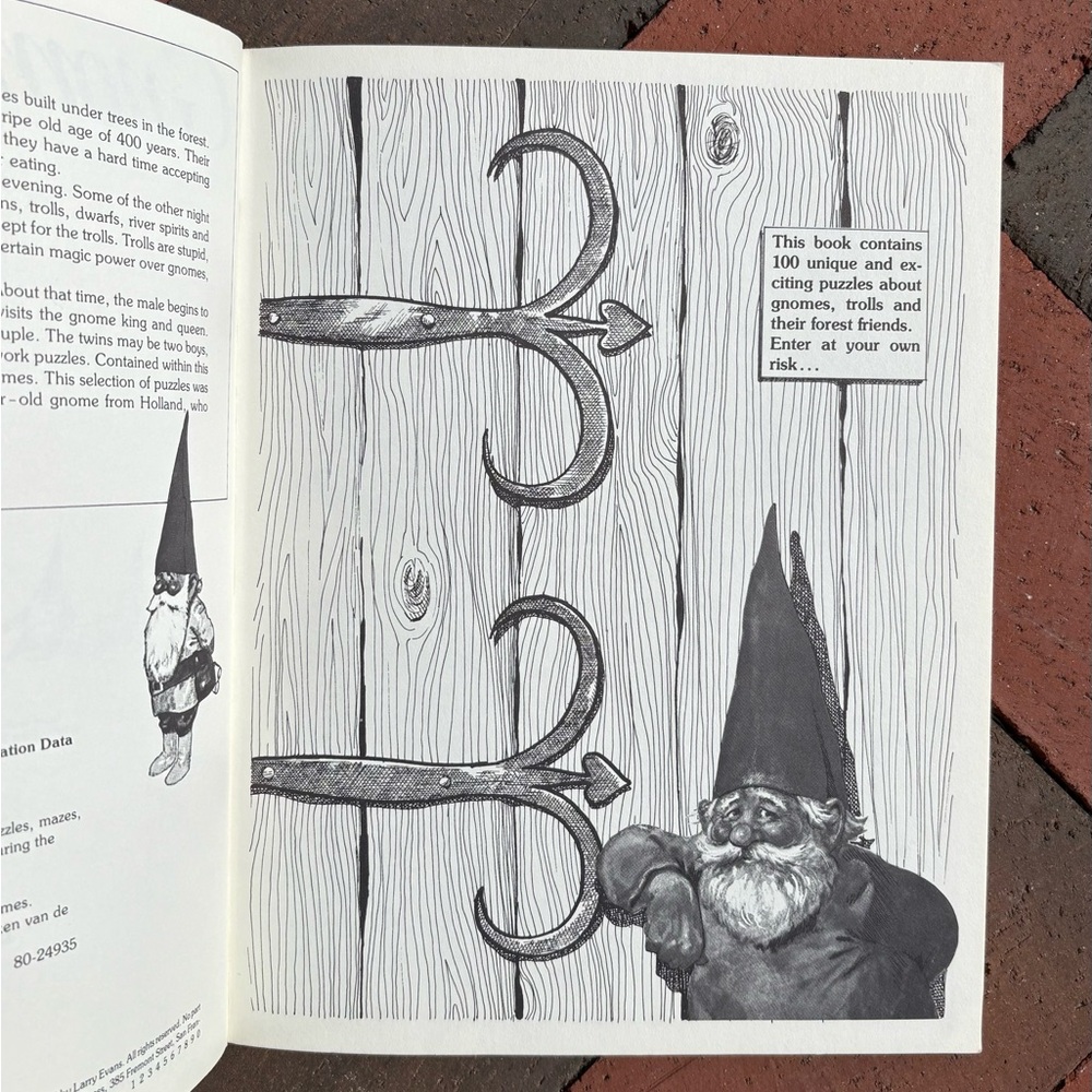 1980 Gnomes Games Trolls Gnome Puzzles Tricks Magic Word Search Fey Larry Evans - Picture 2 of 12
